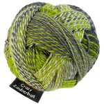 multicolora ock yarn in green and gray shades
